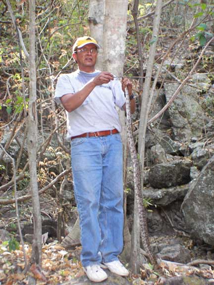 Pastor Dagoberto and visitor  (corn snake) to upper spring; we also have small scorpions in abundance here